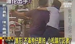 狗仔爆料虚假新闻事件,真相与谣言的较量