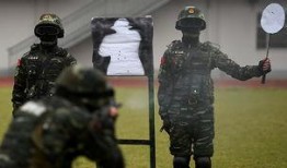 特勤中队在线观看,线上揭秘英勇无畏的消防英雄